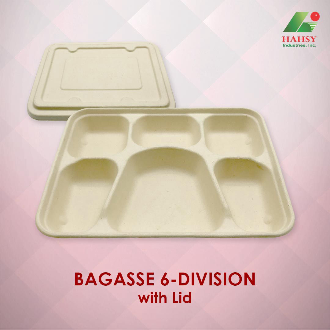 Sugarcane Bagasse 6 Division with Lid