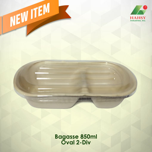 Sugarcane Bagasse 9