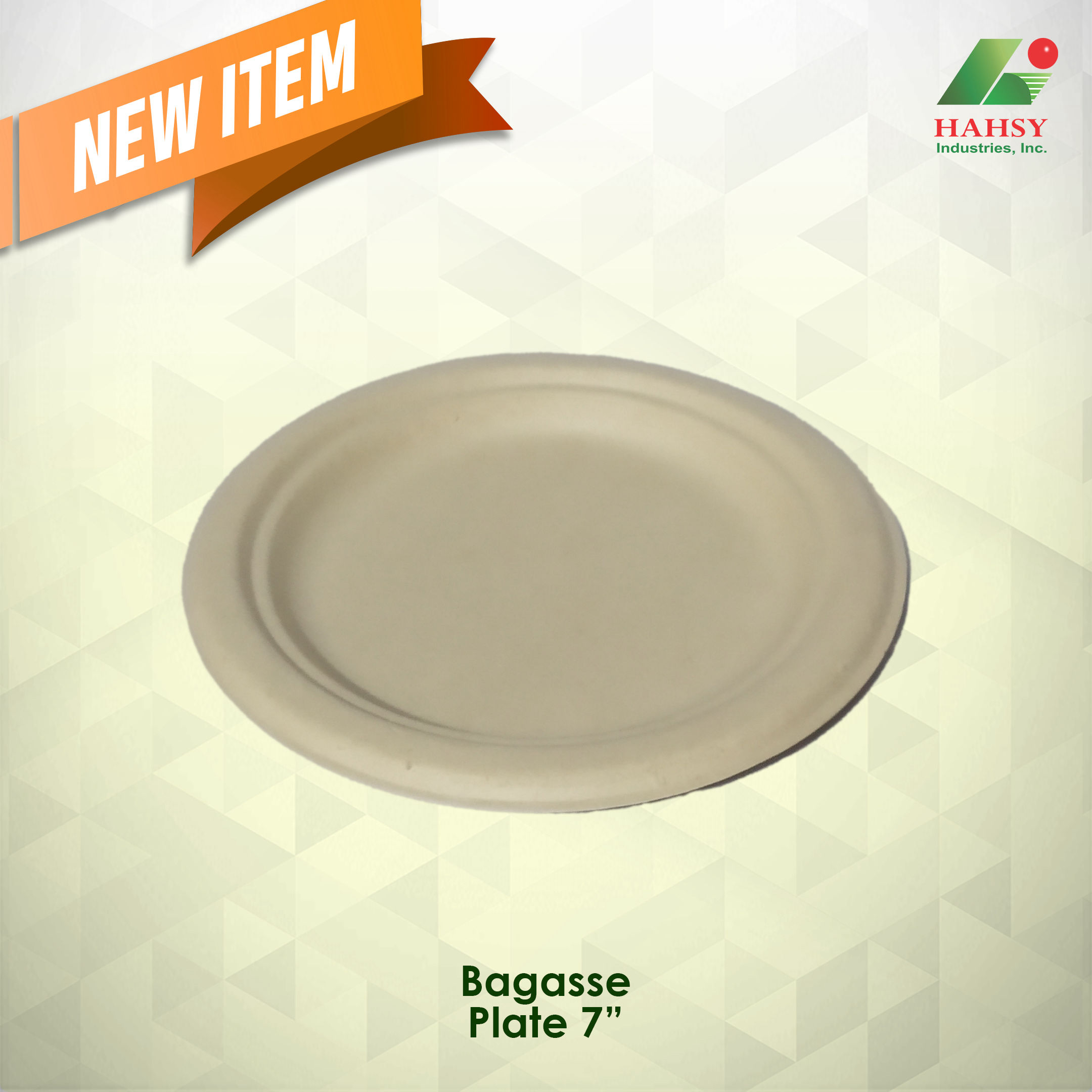 Sugarcane Bagasse 9" plate