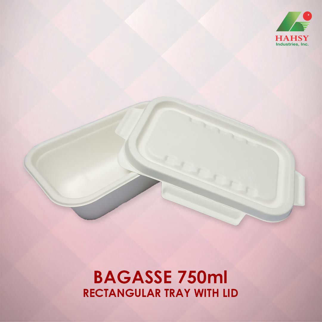 Sugarcane Bagasse 750ml Rectangular Tray with Lid